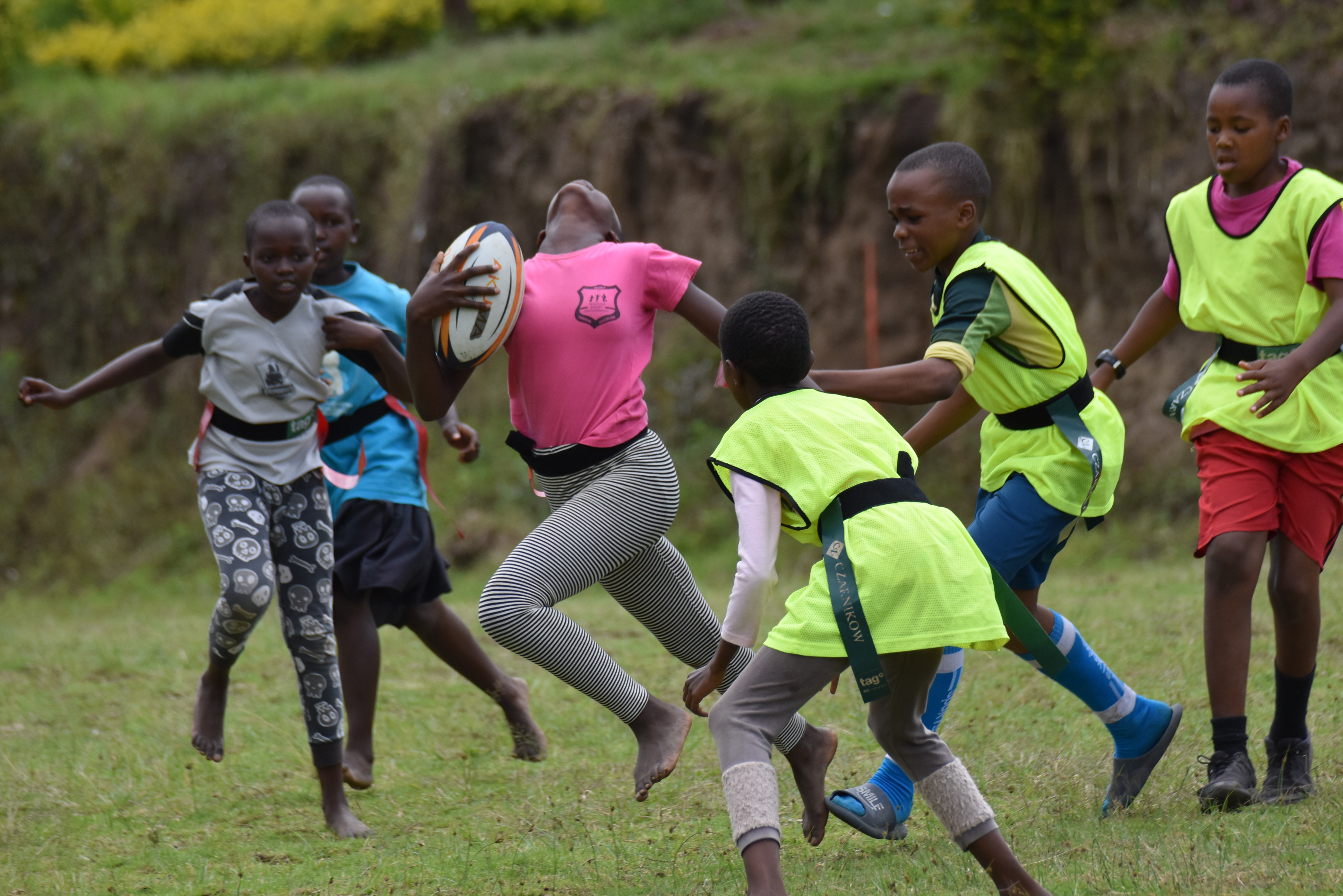 Preparedness Program